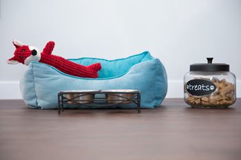 Pet friendly